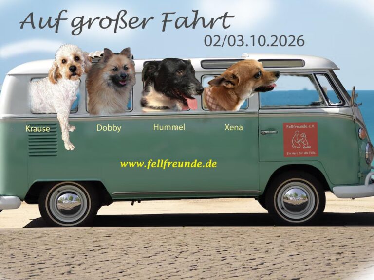 Fellfreunde Start 16 Fellfreunde Start